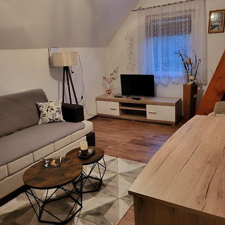 Apartments Matovina Saborsko Extérieur photo